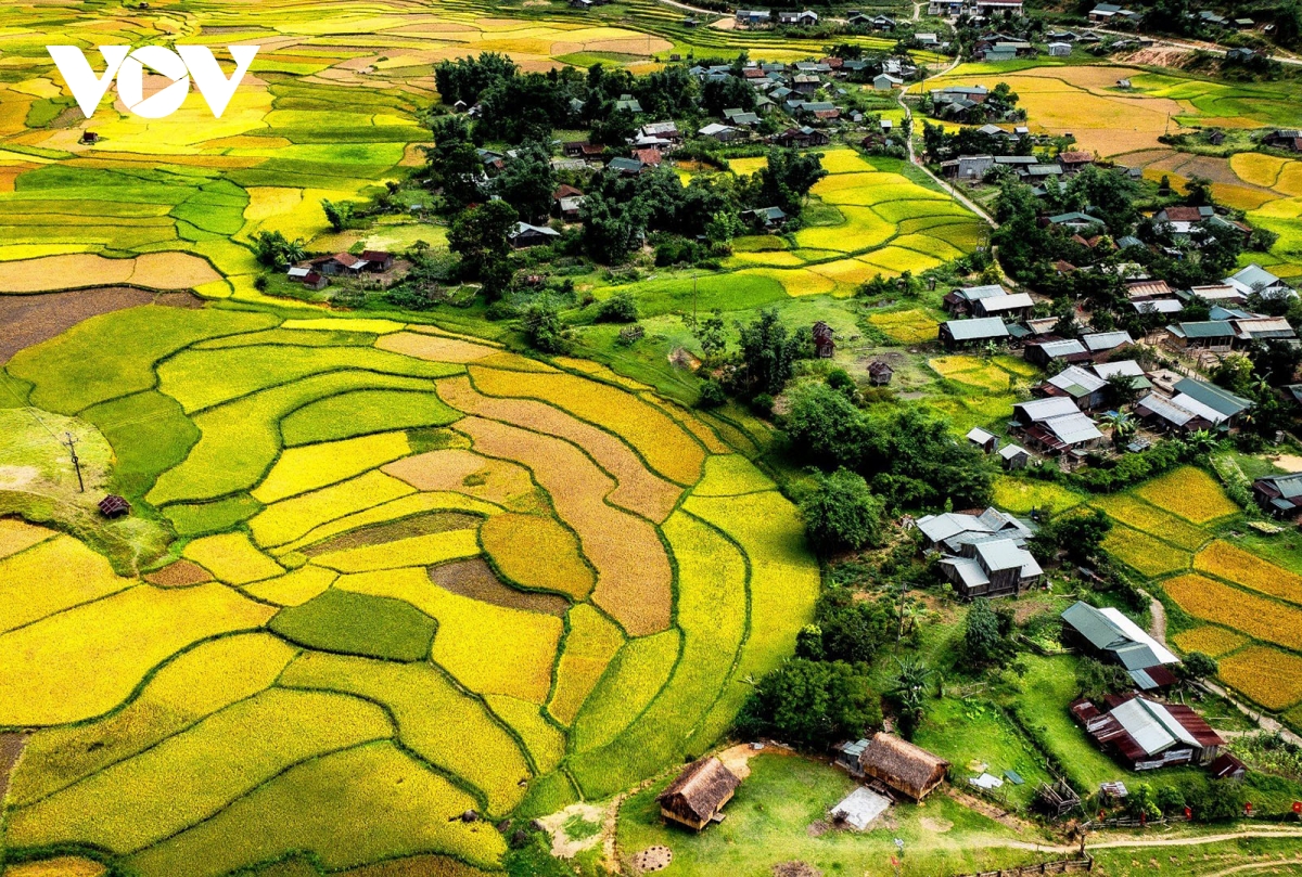 Măng Đen và vận hội vươn khơi du lịch khi thành trung tâm của Quảng Ngãi-Kon Tum